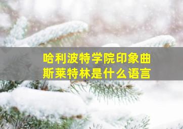 哈利波特学院印象曲斯莱特林是什么语言