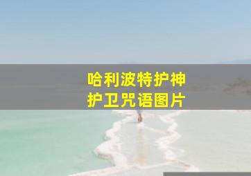 哈利波特护神护卫咒语图片