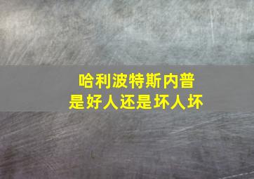 哈利波特斯内普是好人还是坏人坏