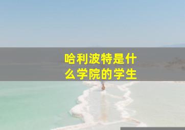 哈利波特是什么学院的学生