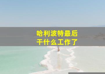 哈利波特最后干什么工作了