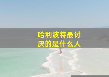 哈利波特最讨厌的是什么人