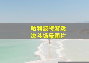 哈利波特游戏决斗场景图片