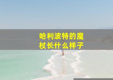 哈利波特的魔杖长什么样子