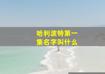 哈利波特第一集名字叫什么