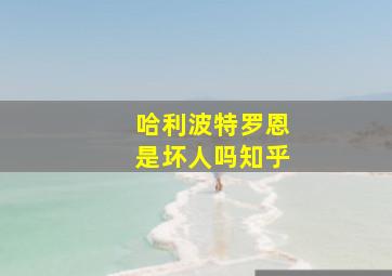 哈利波特罗恩是坏人吗知乎