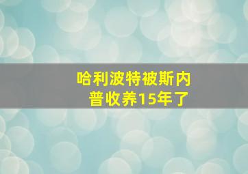 哈利波特被斯内普收养15年了