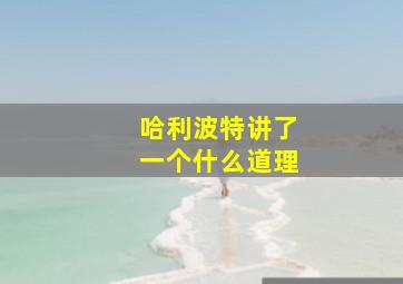 哈利波特讲了一个什么道理