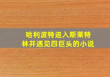 哈利波特进入斯莱特林并遇见四巨头的小说