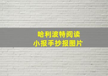 哈利波特阅读小报手抄报图片