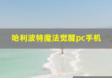 哈利波特魔法觉醒pc手机