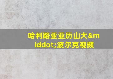 哈利路亚亚历山大·波尔克视频