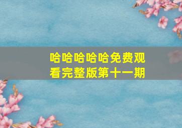 哈哈哈哈哈免费观看完整版第十一期