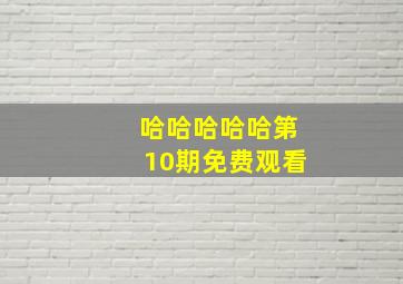 哈哈哈哈哈第10期免费观看