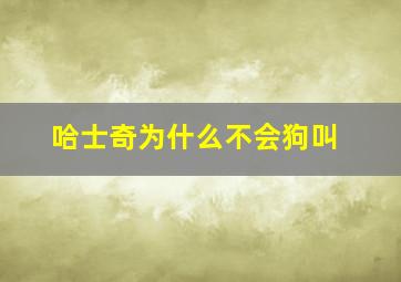 哈士奇为什么不会狗叫