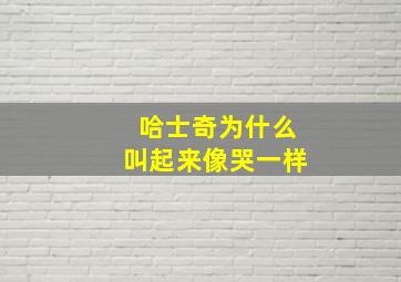 哈士奇为什么叫起来像哭一样