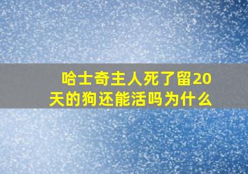 哈士奇主人死了留20天的狗还能活吗为什么