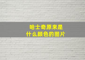 哈士奇原来是什么颜色的图片