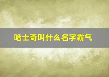 哈士奇叫什么名字霸气