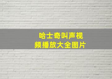 哈士奇叫声视频播放大全图片