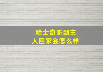 哈士奇听到主人回家会怎么样