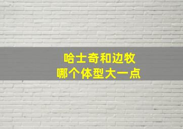 哈士奇和边牧哪个体型大一点