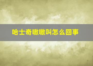 哈士奇嗷嗷叫怎么回事