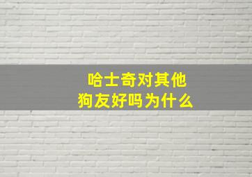 哈士奇对其他狗友好吗为什么