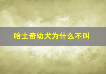 哈士奇幼犬为什么不叫