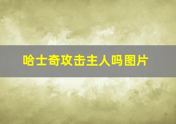 哈士奇攻击主人吗图片