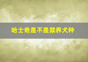 哈士奇是不是禁养犬种