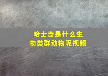 哈士奇是什么生物类群动物呢视频