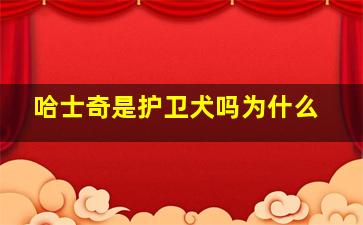 哈士奇是护卫犬吗为什么