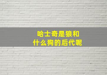 哈士奇是狼和什么狗的后代呢