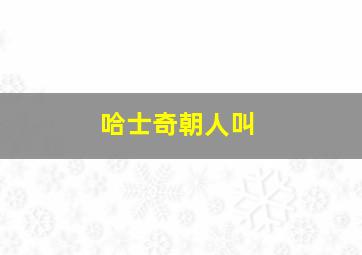 哈士奇朝人叫