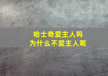 哈士奇爱主人吗为什么不爱主人呢