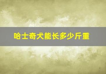 哈士奇犬能长多少斤重