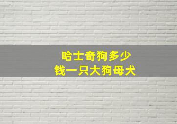 哈士奇狗多少钱一只大狗母犬