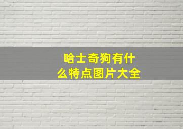 哈士奇狗有什么特点图片大全