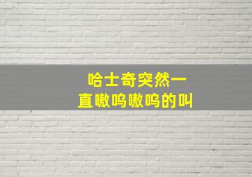 哈士奇突然一直嗷呜嗷呜的叫