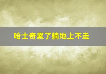 哈士奇累了躺地上不走