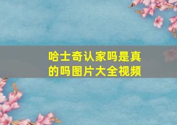 哈士奇认家吗是真的吗图片大全视频