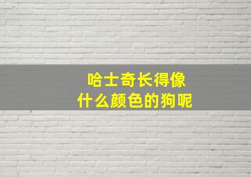 哈士奇长得像什么颜色的狗呢