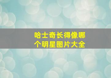 哈士奇长得像哪个明星图片大全