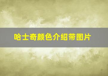 哈士奇颜色介绍带图片