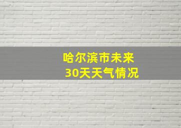 哈尔滨市未来30天天气情况