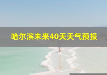 哈尔滨未来40天天气预报