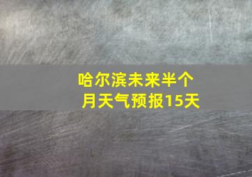 哈尔滨未来半个月天气预报15天