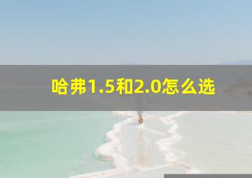 哈弗1.5和2.0怎么选