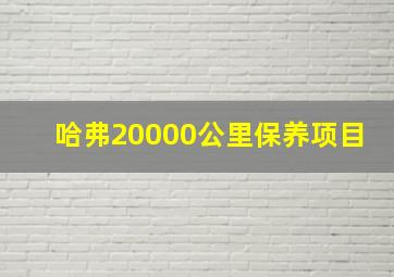 哈弗20000公里保养项目